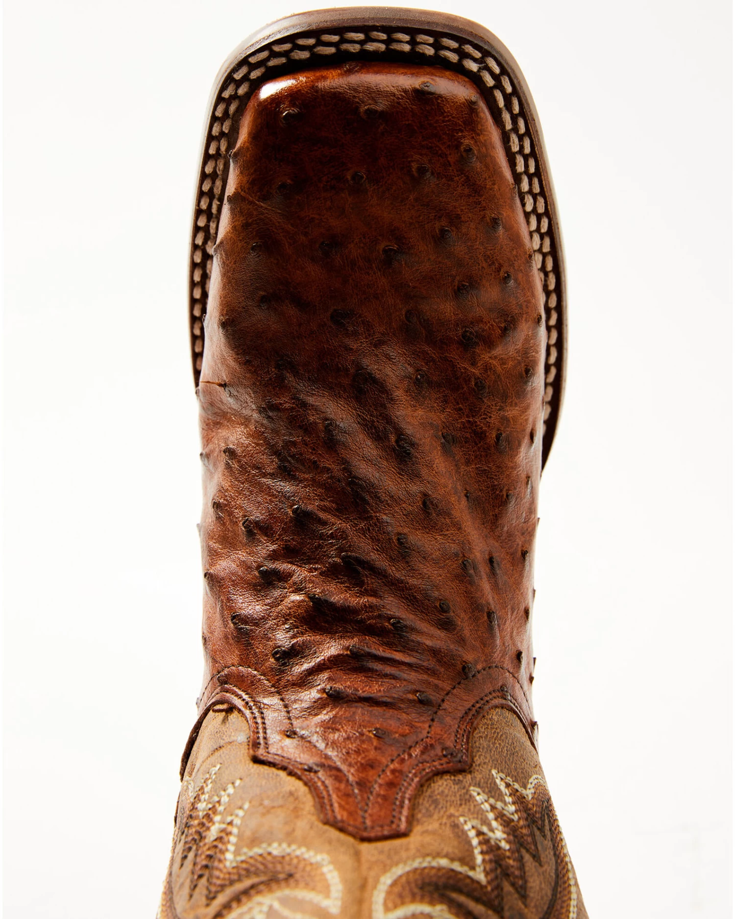 Dan Post Women's Exotic Full-Quill Ostrich Western Boots - Broad Square Toe - Image 6